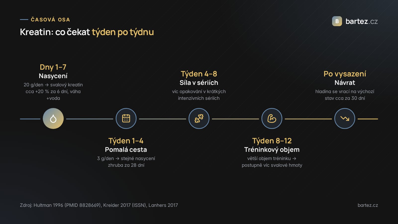 Časová osa účinků kreatinu od prvního týdne po vysazení